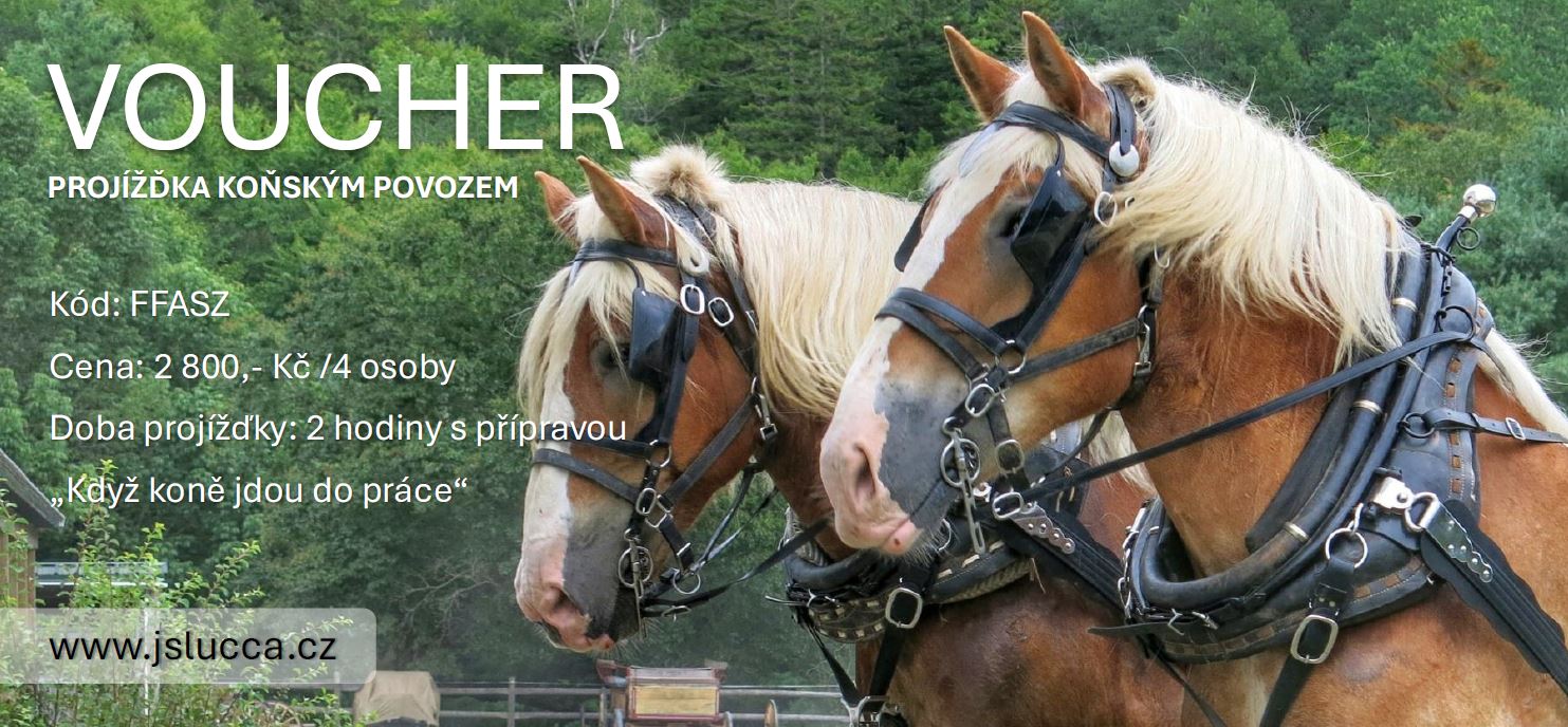 VOUCHER NA PROJÍŽĎKU KOŇSKÝM POVOZEM 